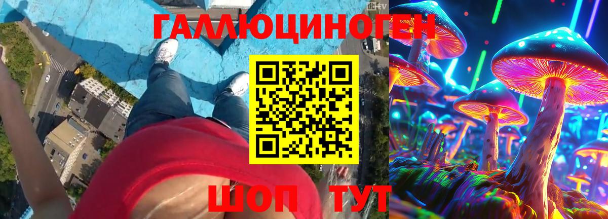 Галлюциногенные грибы Psilocybe  Вход с VPN  Псилоцибиновые грибы Cubensis  Прохладный 